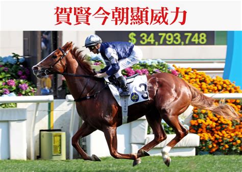 hkjc results chinese|所有場次賽果 .